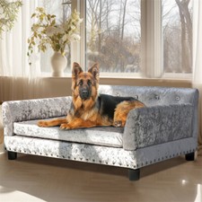 Stunning Crushed Velvet Dog